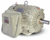 MOTOR ELÉCTRICO WOLONG